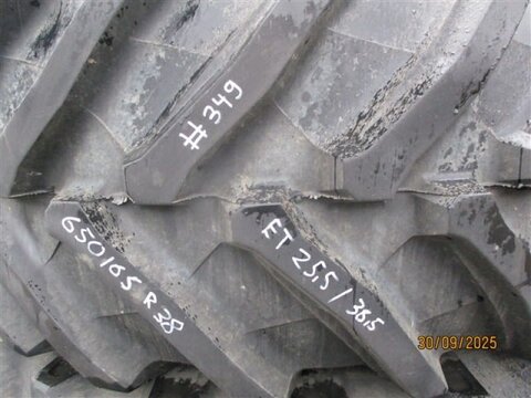 Fendt 650/65R38 157D  TB-70  8  #349 2