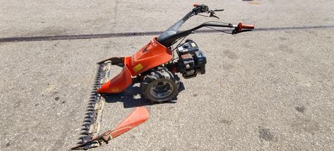 Reform Reform 626 D mit Robin EX Motor