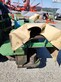 3191-7891619aec1916bcc55a96cb5b080f05-5661508