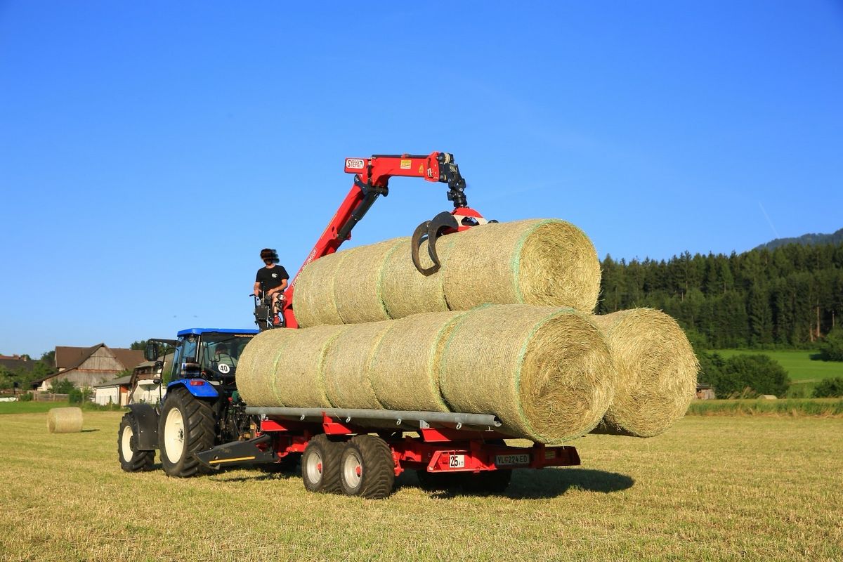 Stepa Ballentransportgestell zu Stepa 2