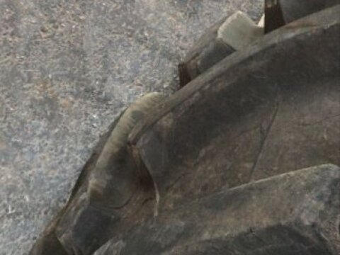 Trelleborg RÄDER 600/65 R28, 650/65 R42 3