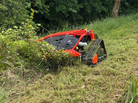 Jack Jack Mulcher Mähraupe