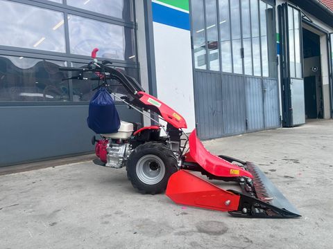 Reform Reform Motech CM 818D