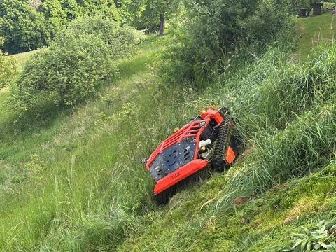 Jack Schlegelmulcher Mähraupe 23PS