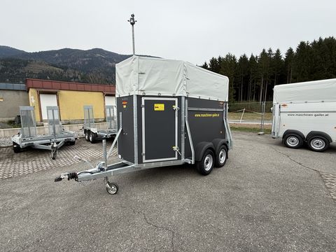 Böckmann VH 3016/27 Viehanhänger mit hohem Planenaufbau