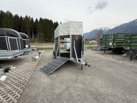 Böckmann VH 3016/27 Viehanhänger mit hohem Planenaufbau