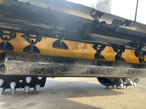 Brielmaier TYP 29 mit Müthing Mulcher