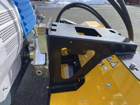 Brielmaier TYP 29 mit Müthing Mulcher