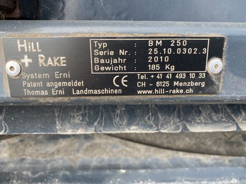 Brielmaier Hill Rake BM 250, hydr. schwenkbar