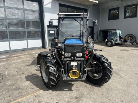 3244-13e349188549246d52d96b08a26d4ed6-5993505