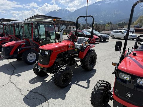 Antonio Carraro Panther 22M Kompakttraktor mit Mitsubishi Motor