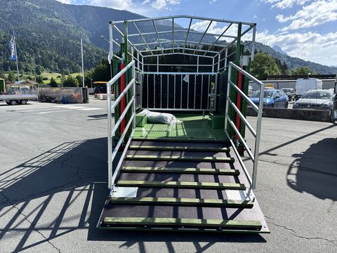 Pronar Viehanhänger T046 (Kurier 6) Top Ausstattung