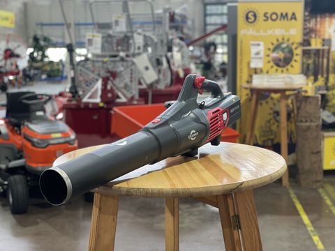 Sonstige Cramer leistungsstarker Akku-Laubbläser 82B22