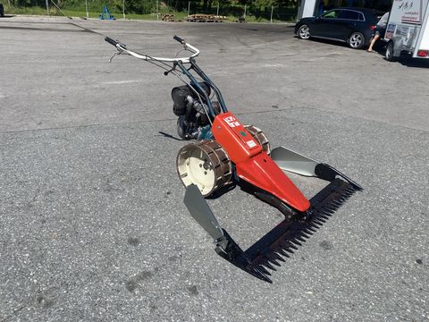 3244-345eecad375e9c027825872770f14ecf-5993338