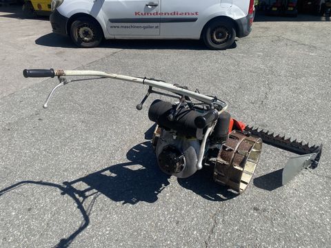 3244-345eecad375e9c027825872770f14ecf-5993338