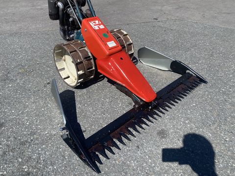 3244-345eecad375e9c027825872770f14ecf-5993338