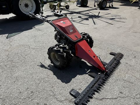 Aebi AM 20