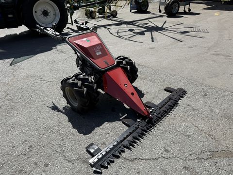 Aebi AM 20