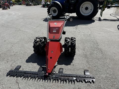 Aebi AM 20