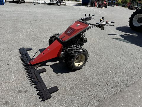 Aebi AM 20