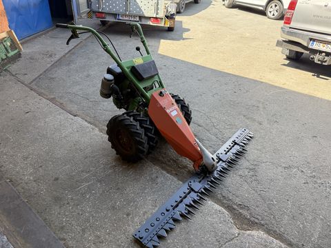 Aebi AM 20