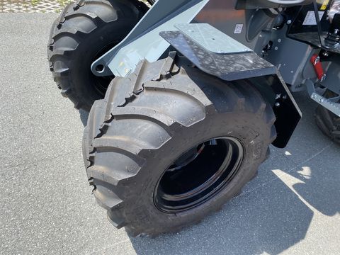 Giant G 2500 HD mit abklappbaren Fahrerschutzdach