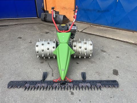 Rapid Swiss, Baujahr 2018, Top-Zustand