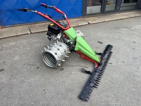 Rapid Swiss, Baujahr 2018, Top-Zustand