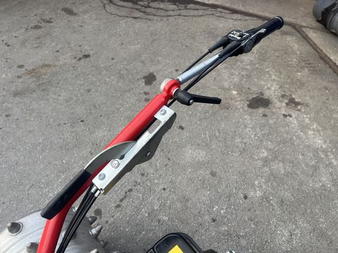 Rapid Swiss, Baujahr 2018, Top-Zustand