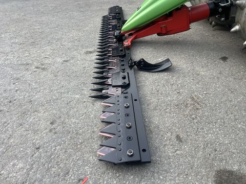 Rapid Swiss, Baujahr 2018, Top-Zustand