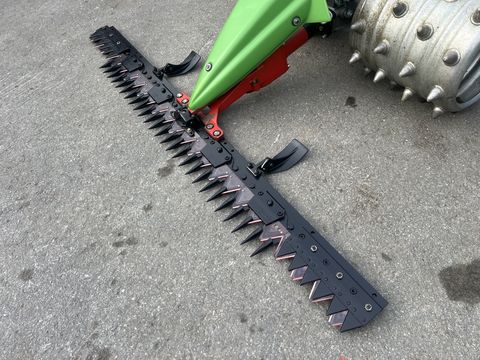 Rapid Swiss, Baujahr 2018, Top-Zustand