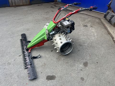 Rapid Swiss, Baujahr 2018, Top-Zustand