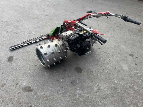 Rapid Swiss, Baujahr 2018, Top-Zustand