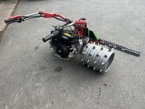 Rapid Swiss, Baujahr 2018, Top-Zustand