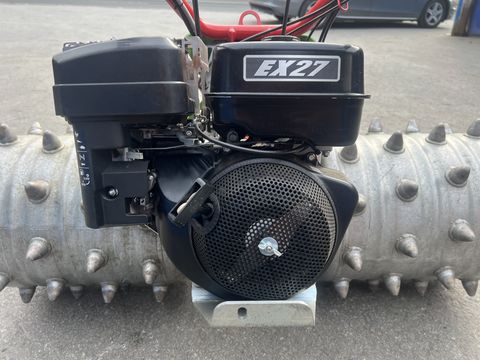 Rapid Swiss, Baujahr 2018, Top-Zustand