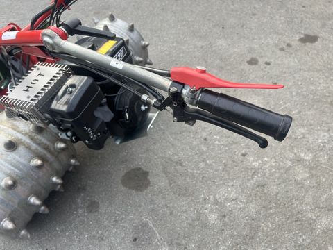 Rapid Swiss, Baujahr 2018, Top-Zustand