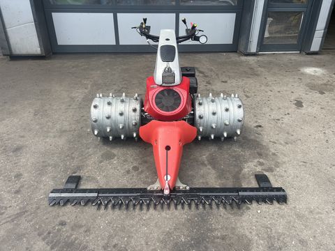 Aebi CC56