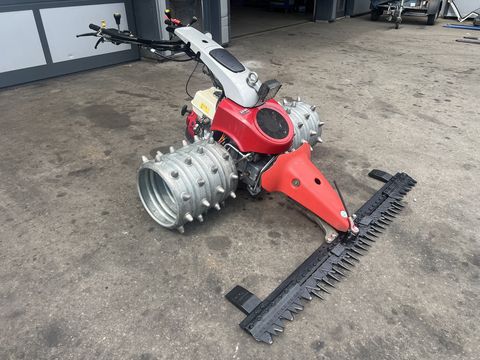 Aebi CC56