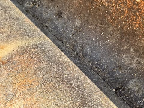 Hauer Schaufel 2m mit Haueraufnahme
