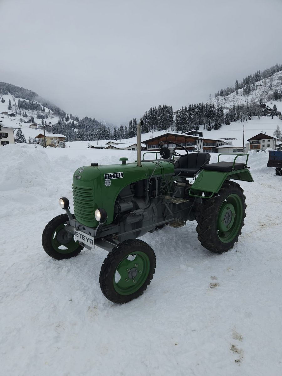 Steyr 80 2