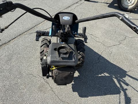 BCS 610
