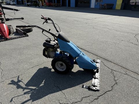 BCS 610