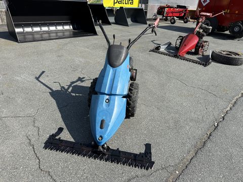 BCS 610