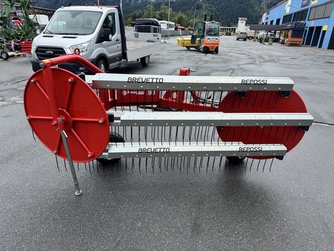 Repossi 90/6 Kammschwader mit Eigenölversorgung