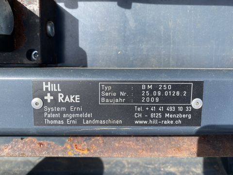 Brielmaier Hill Rake BM 250, hydr. schwenkbar