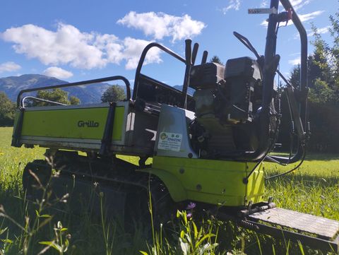 Grillo Grillo Dumper 507 