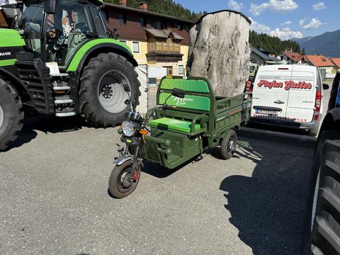 Sonstige Cargo 500 Lastendreirad gebraucht
