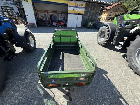 Sonstige Cargo 500 Lastendreirad gebraucht