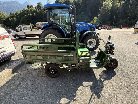 Sonstige Cargo 500 Lastendreirad gebraucht
