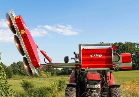 Sonstige Fliegl Woodking Duo Astsäge